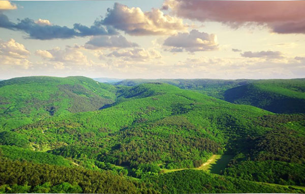 1489289094134013.jpg u=1045479318,3540218678&fm=214&gp=0.jpg