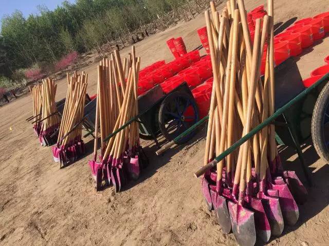 1492496070227552.jpg 微信图片_20170417101402.jpg