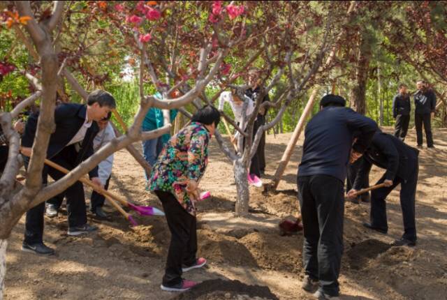 1492496101929615.jpg 微信图片_20170417101405.jpg