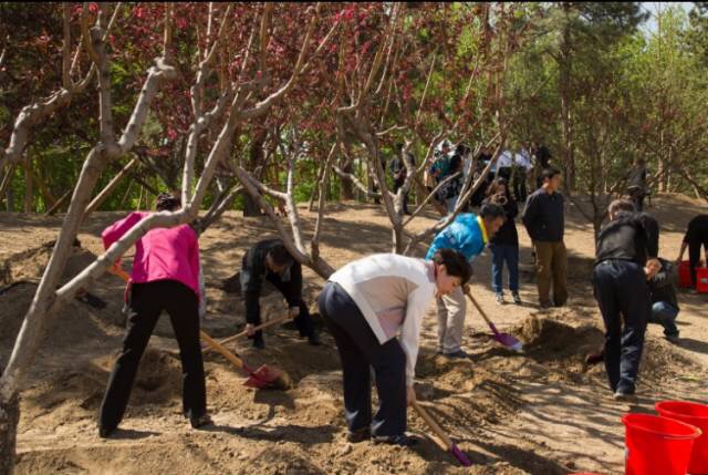 1492496155105247.jpg 微信图片_20170417101408.jpg