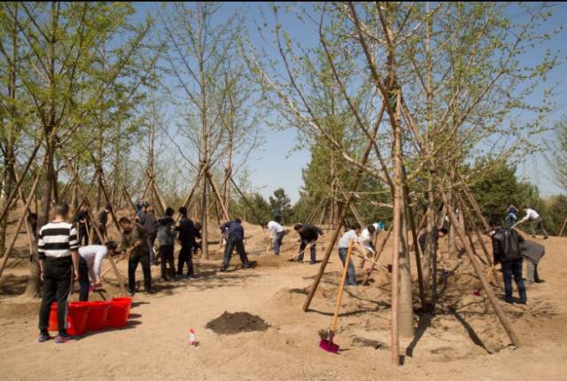 1492496208293864.jpg 微信图片_20170417101411.jpg