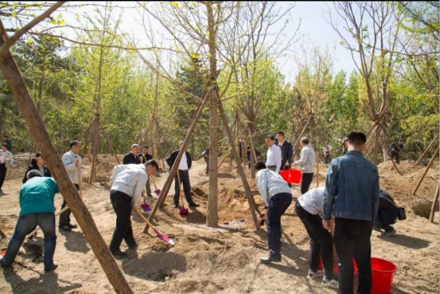 1492496250664195.jpg 微信图片_20170417101414.jpg