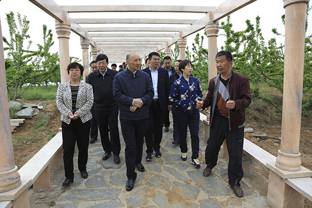 4月19日，国家林业局副局长李树铭一行到赞皇县龙堂院樱桃产业园视察.jpg