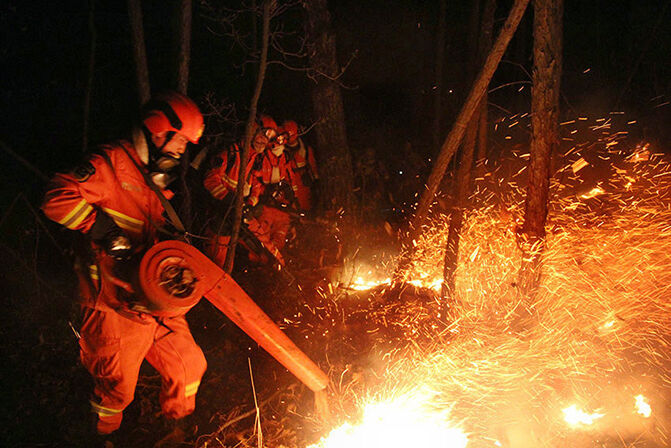 1494297165240461.jpg 7.jpg