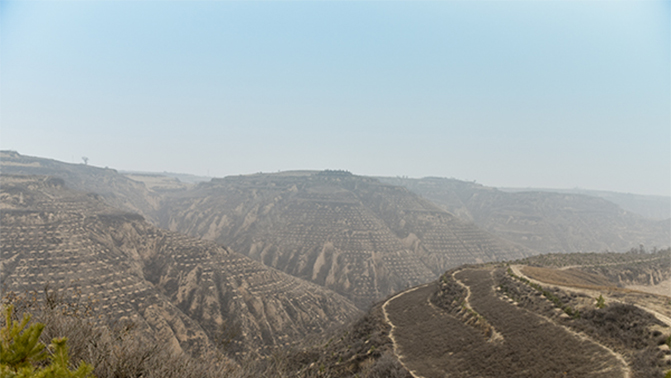 1495507061992226.jpg 5.jpg