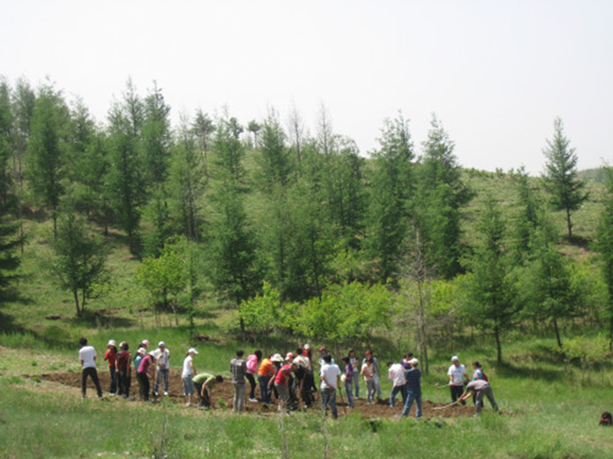 1495507129102703.jpg 1.jpg