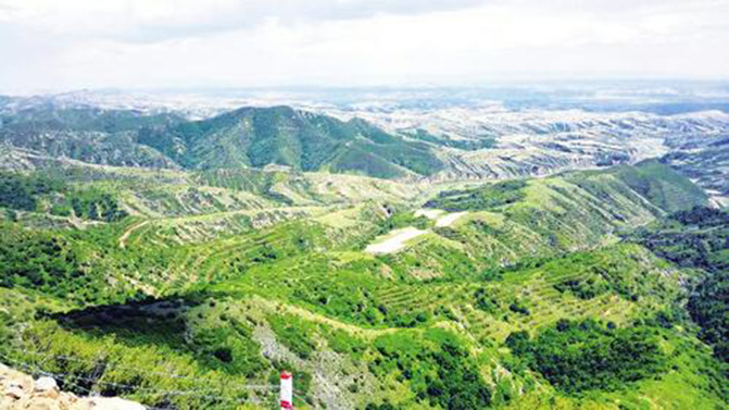 1495507934342446.jpg 4.jpg