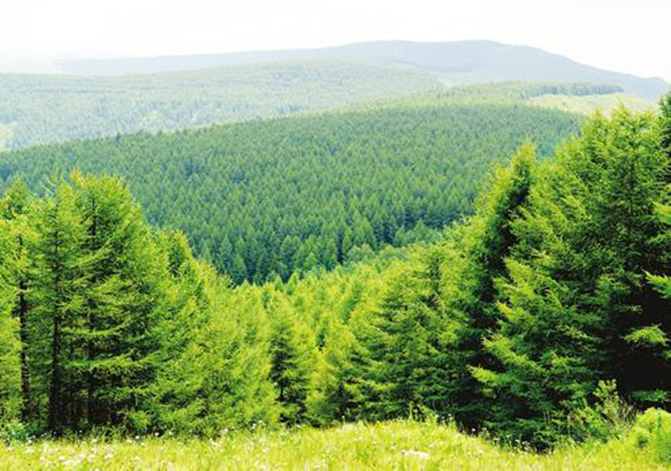 1495507990731540.jpg 2.jpg