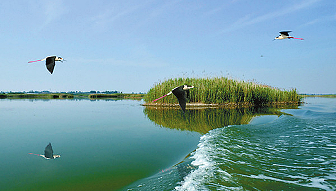 1495508410641603.jpg 10.jpg