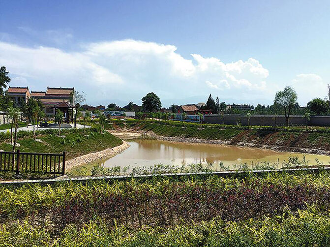 1495508564113035.jpg 11.jpg