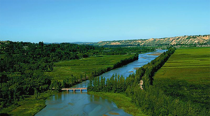 1495508619988870.jpg 12.jpg