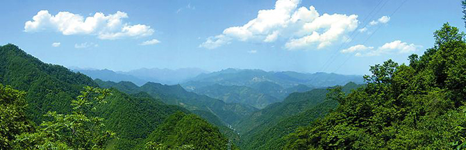 1495508650332764.jpg 111.jpg