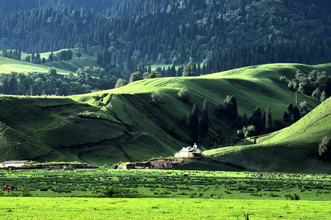 1497257382118505.jpg userid239139time20110628003454.jpg