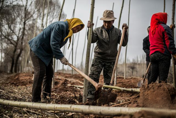 1497257565459880.jpg 2017-5-27-3b7a9cd4fcd74299a51181f28e5ab9c2.jpg