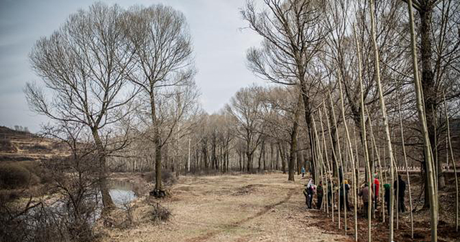 1497257621946699.jpg 2017-5-27-ccf19cefac13439a9a0c15e14409e7c1.jpg