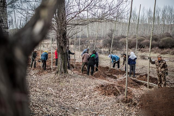 1497257650403121.jpg 2017-5-27-c581335febcb49df993522b1e30d4590.jpg