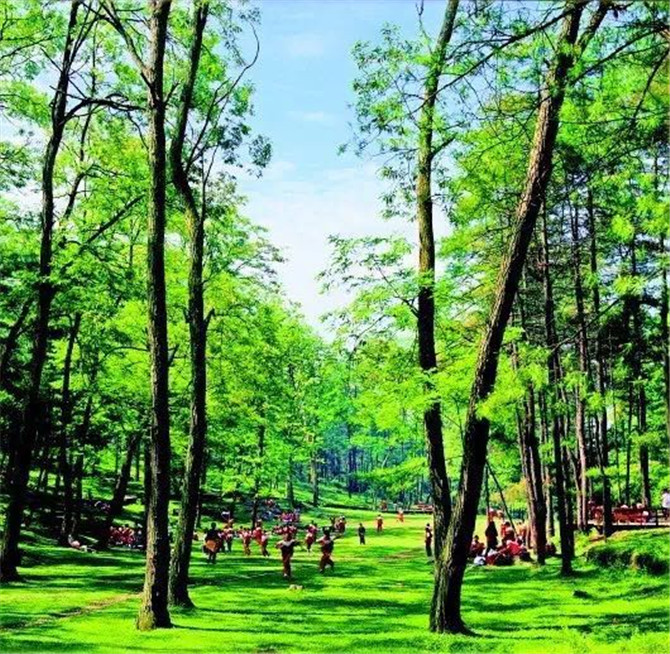 1500357475558896.jpg 1.jpg