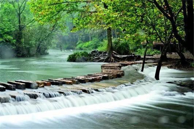 1500357524341112.jpg 2.jpg