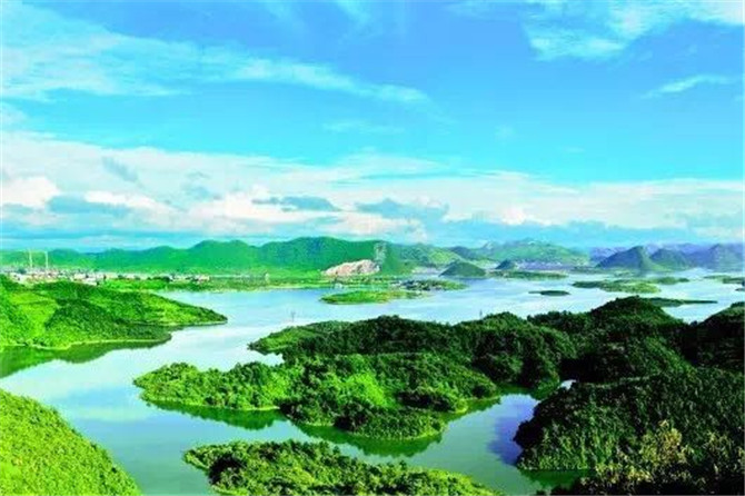 1500357738110660.jpg 5.jpg