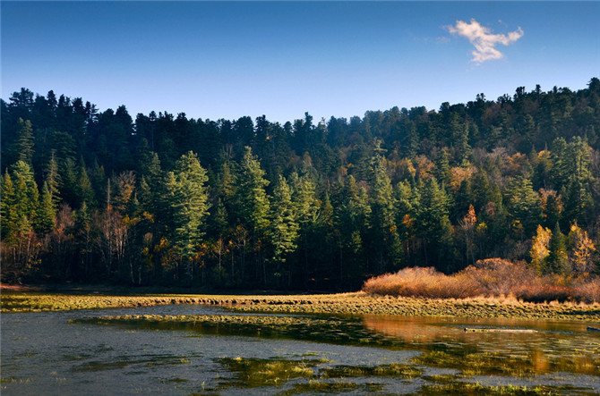 1500358483158787.jpg 27882257_27882257_1382568928968_mthumb.jpg