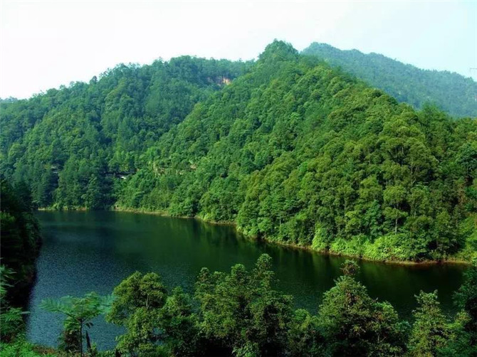 1500358964100074.jpg 1.jpg