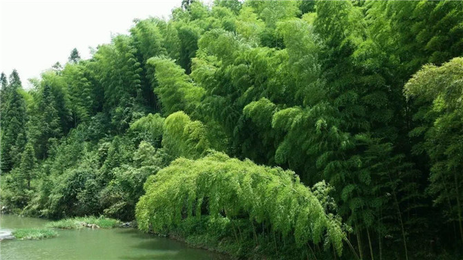 1500359036582650.jpg 2.jpg