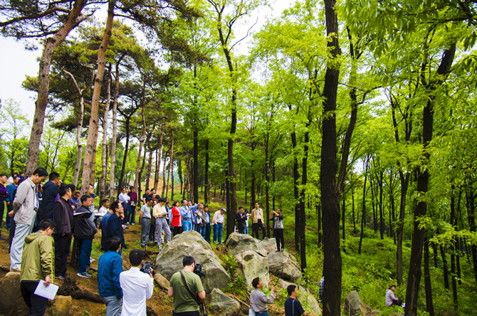 1500453865464269.jpg 2017-5-10-7c7f462d59134847a3f95f70bb4e891c.jpg