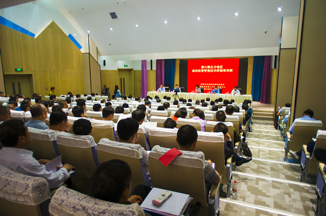 1500453907747634.jpg 2017-5-10-a207f4ad4cec457fbea2ad44e8736d72.jpg