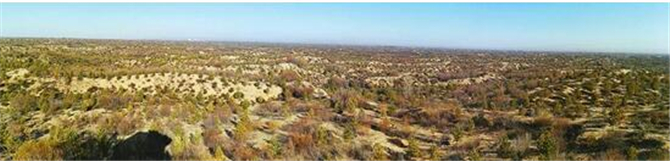 1500457093161799.jpg 榆林1.jpg