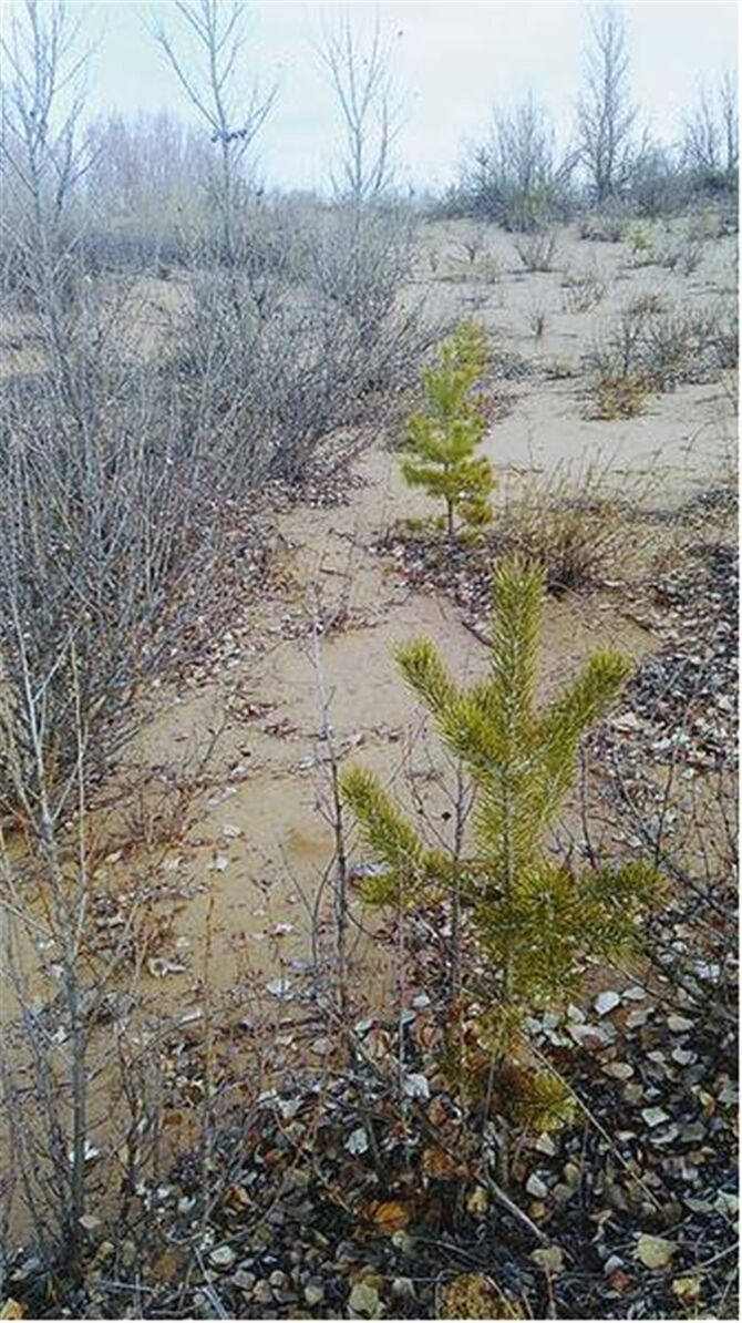 1500457135869672.jpg 榆林2.jpg