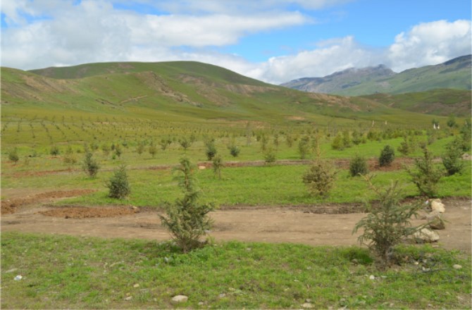 1500515152933961.jpg 恢复工程.jpg