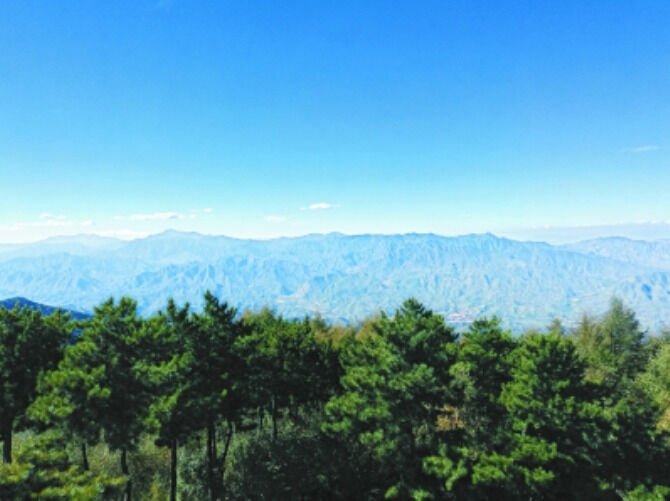 1500515803454157.png 绿色屏障.png