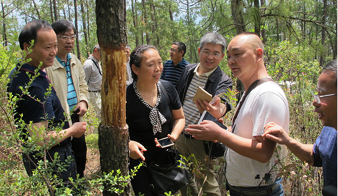 1500526677138252.jpg 2017-5-24-c4193254bf1543938ab339535d8e879b.jpg