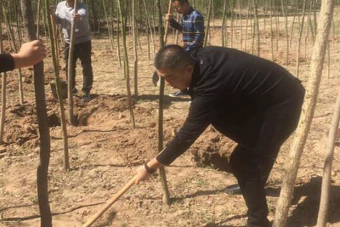 1500531701125123.jpg 2017-4-26-bd77e2ef0fbf4325bc24a49f3fcf9d15.jpg