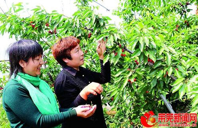 1500532046123565.jpg 2017-4-26-c1cf174558b84b2a9884573cee6c4a3e.jpg