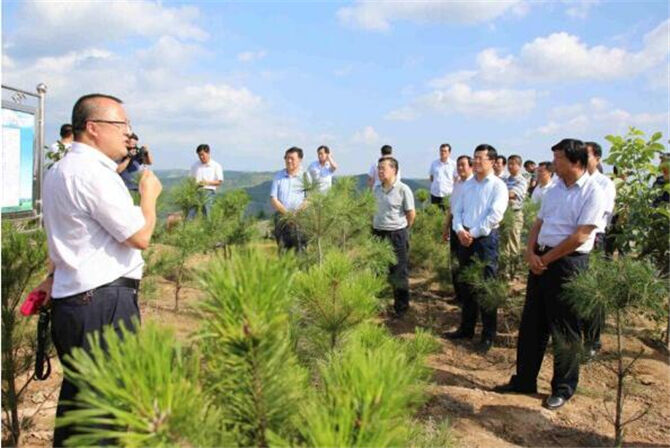 1500532340466851.jpg 2_副本.jpg