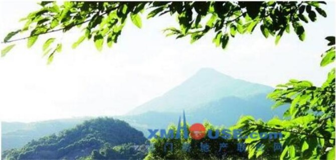 1500536086469390.jpg 树叶6.jpg