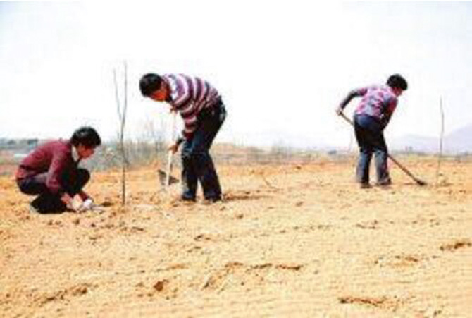 1500538241125532.jpg 2017-4-17-e122e0712bed43c5b7e4369047187ea9.jpg