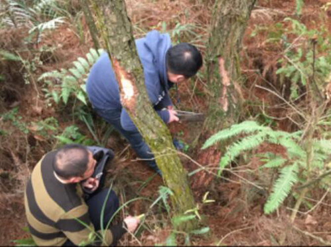 1500600170133673.jpg 2017-3-21-46bfb4b1da194b59ba62d442888a2ede.jpg