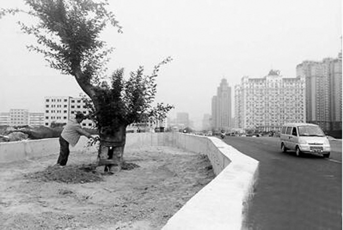 1500600998136587.jpg 2017-3-17-935248cead9942a6838f151fda950ed0.jpg