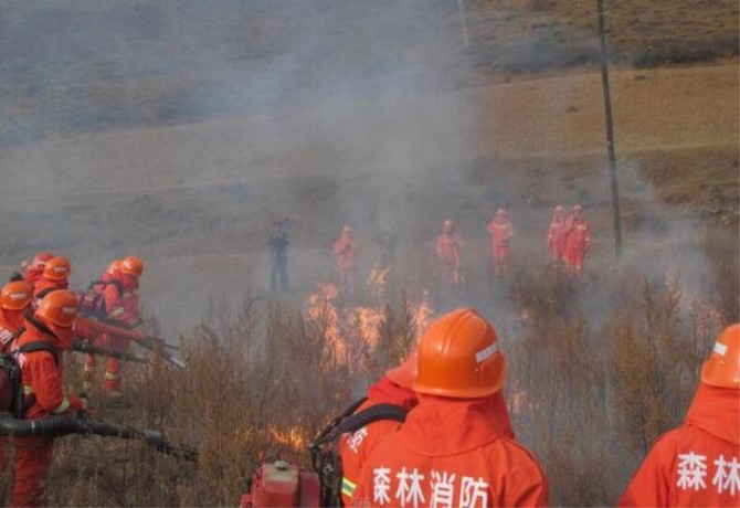 1500603898688723.jpg 火和火警a46.jpg