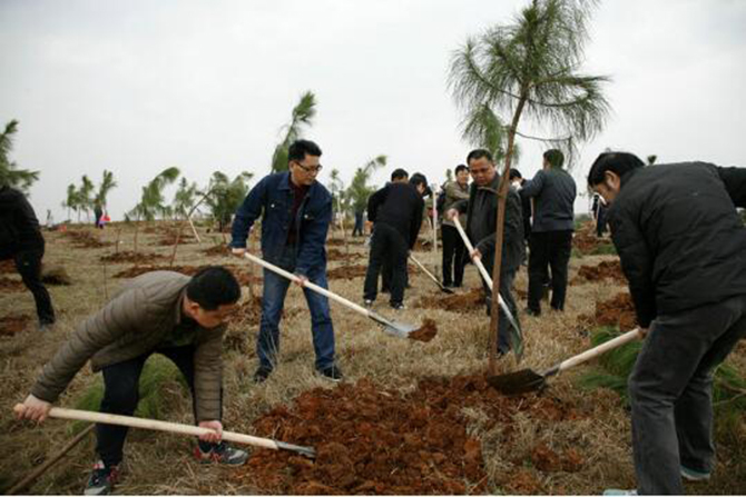 1500607103529118.jpg 2017-3-8-1dc3454a33bb4ef494a8594abd4a7a8a.jpg