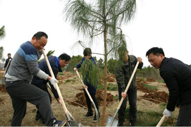 1500607161129142.jpg 2017-3-8-2506f53585244e2abf452394832a46a1.jpg