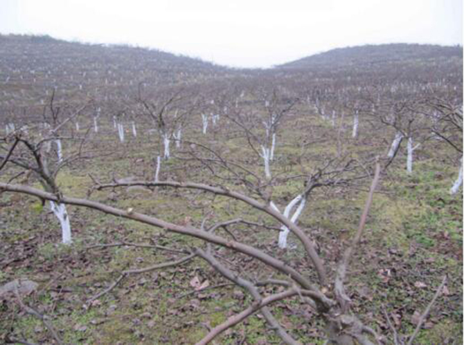 1500608310577400.jpg 2017-3-2-f5662a3ea18340288fff4031f9ec277f.jpg