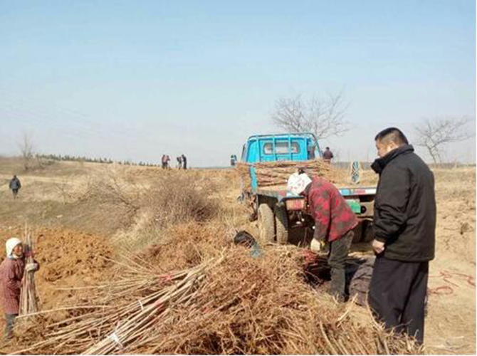 1500613480525977.jpg 2017-2-21-dae4e40b64d14c2e9f6dd3dd38b72d3d.jpg