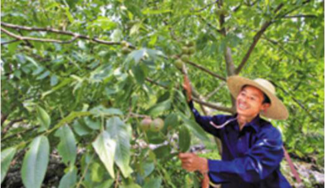 1500613869341371.jpg 2017-2-13-2309b13e279d40dba07e32b7b8dab7a7.jpg