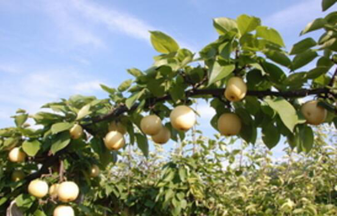 1500615189119512.jpg 2017-1-23-9e277e311be24579b85c004f4685e41c.jpg