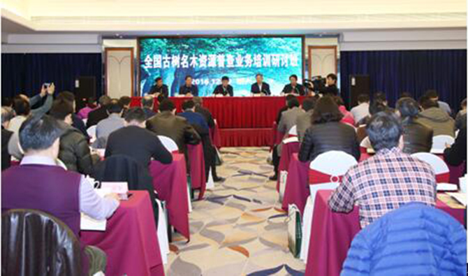 1500615508114498.jpg 2017-1-19-e514cc6f2d8b41b8afc7a3df426e5260.jpg