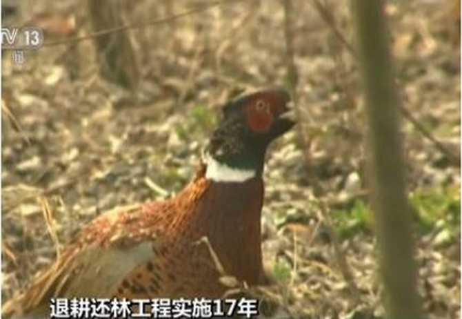 1500616546136785.jpg 2017-1-11-fedfbc09ed40439198b87dffb303b4bf.jpg