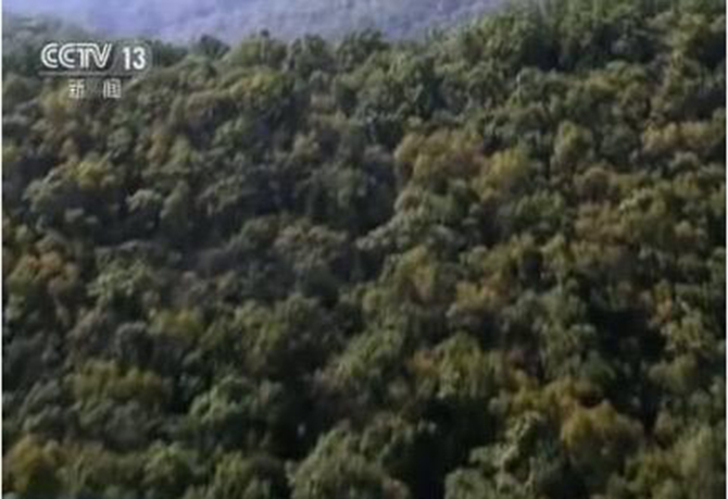 1500616569836580.jpg 2017-1-11-567ff66d72834aa5b6f2a02fd7f34ba1.jpg